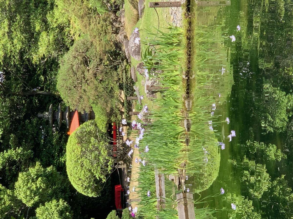2025年5月27日撮影